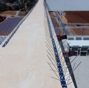 שורה של דוקרנים נגד יונים