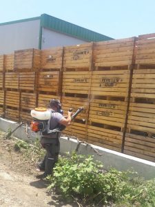 הדברה טרום אירוע נגד מעופפים