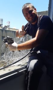 הרחקת יונים