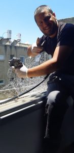 שחרור יונה מרשת יונים