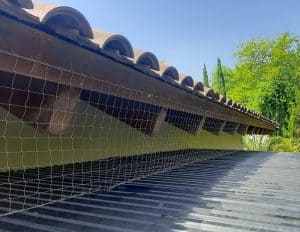 הרחקת יונים ממחסנים