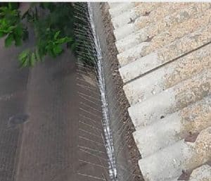 דוקרנים נגד יונים על גג