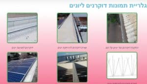 גלריית תמונות דוקרנים ליונים