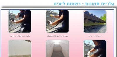 גלריית תמונות רשתות ליונים