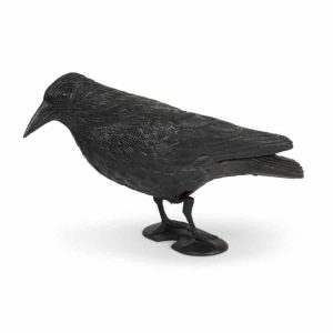 דחליל עורב להרחקת יונים