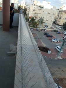 הרחקת יונים מגגות