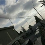 רשתות נגד יונים