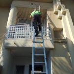 פריסת רשתות נגד יונים