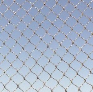 רשת להרחקת ציפורים