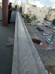 הרחקת יונים