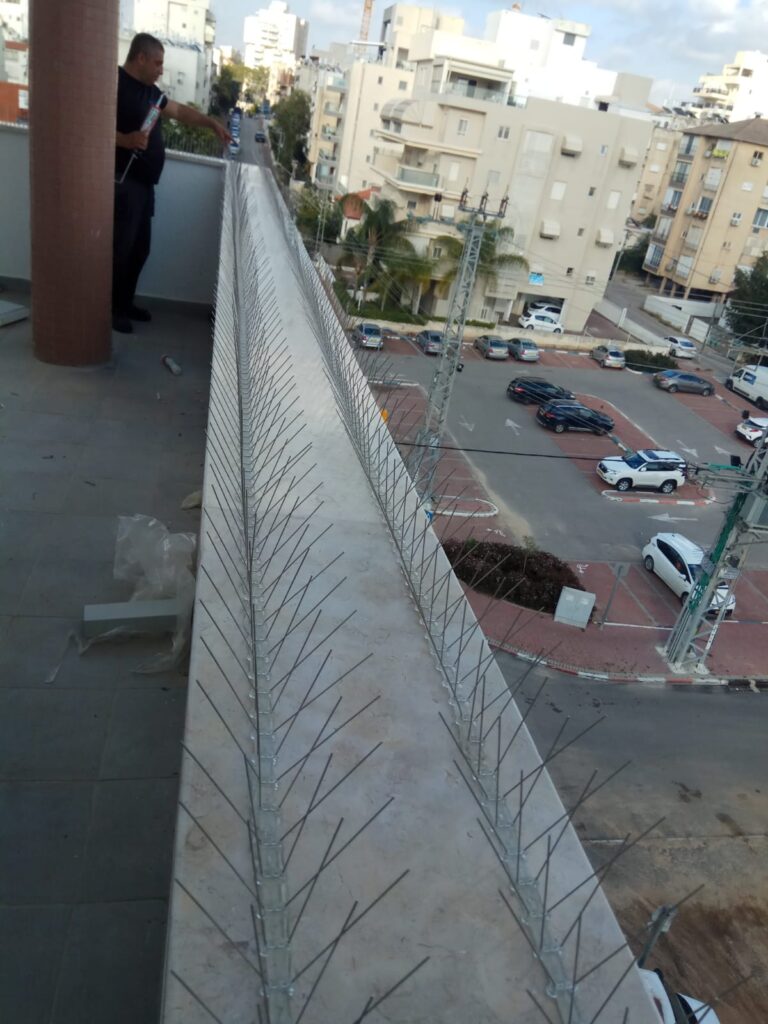 הרחקת יונים