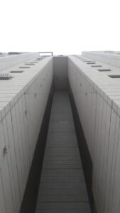 רשת נגד יונים