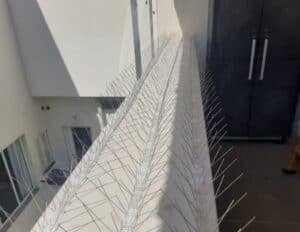 דוקרנים לסילוק יונים