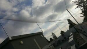 רשת שקופה ליונים