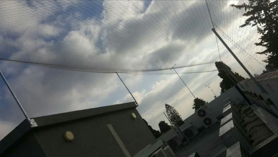 רשת שקופה ליונים