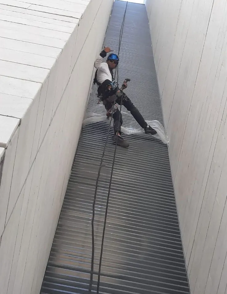 איציק-הדברות-הרחקת-יונים