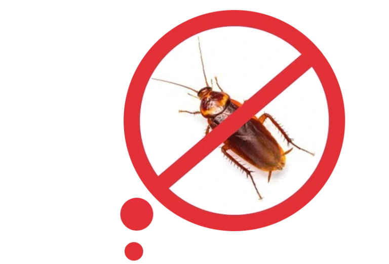 _הדברת-תיקנים