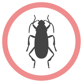 הדברת תיקנים איציק הדברות