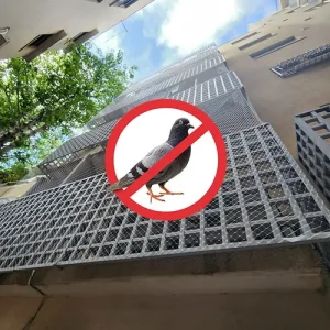 הרחקת יונים