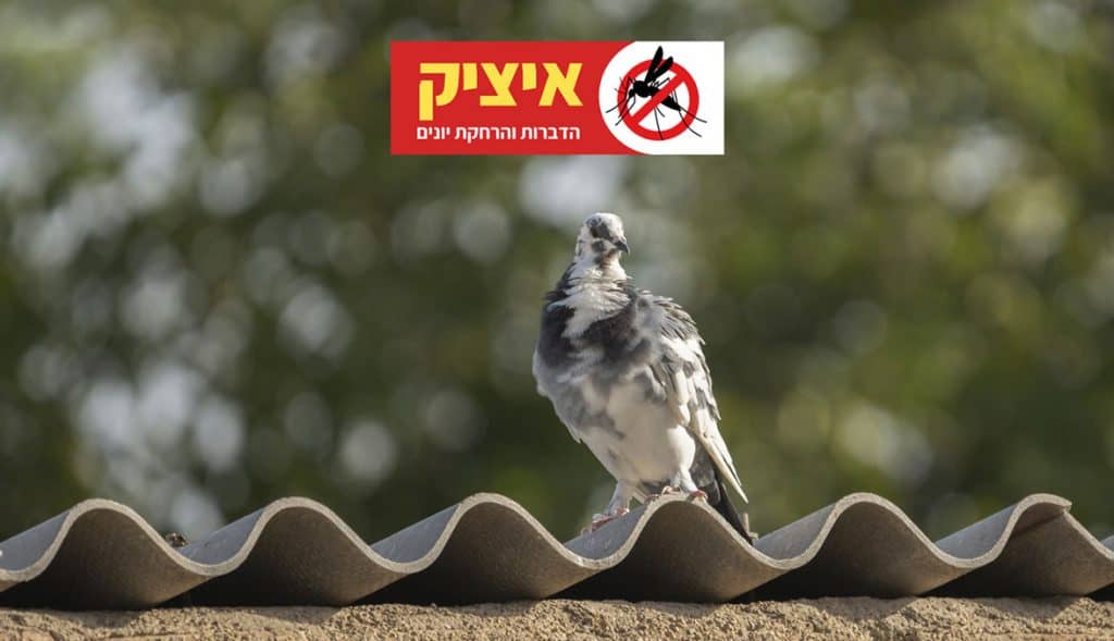 הרחקת יונים