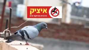 מרחיק יונים