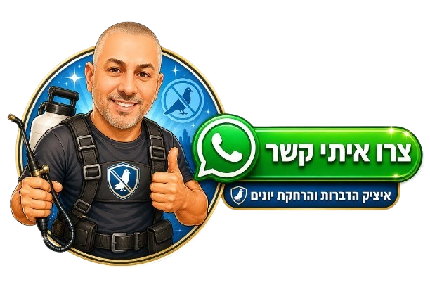 צור קשר בוואטסאפ