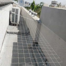 רשתות נגד יונים