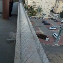 הרחקת יונים מגגות