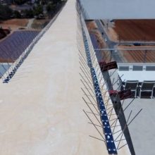 שורה של דוקרנים נגד יונים