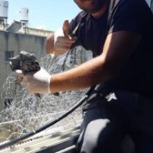 הרחקת יונים