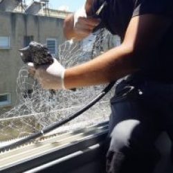 שחרור יונה מרשת יונים