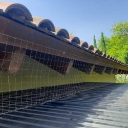 הרחקת יונים ממחסנים