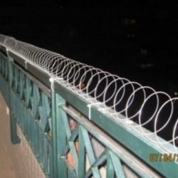 סליל קפיצי להרחקת יונים