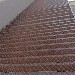 רשת נגד דרורים