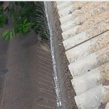 דוקרנים נגד יונים על גג