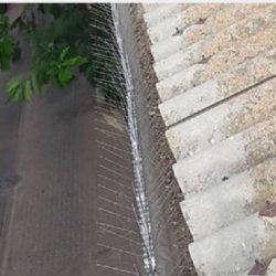 דוקרנים נגד יונים על גג