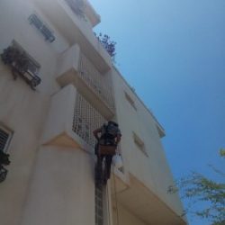 התקנת רשת נגד יונים במרפסת