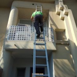 פריסת רשתות נגד יונים