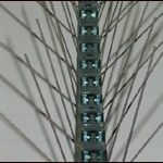 דוקרנים ליונים