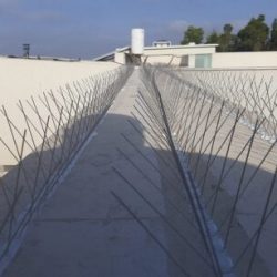 דוקרנים למניעת יונים