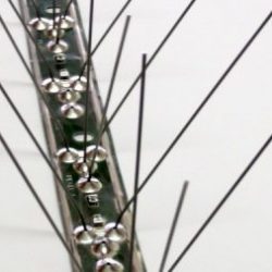 דוקרנים נגד יונים מניירוסטה