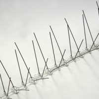 דוקרן יונים בצורת w