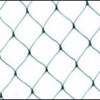 רשת להרחקת יונים