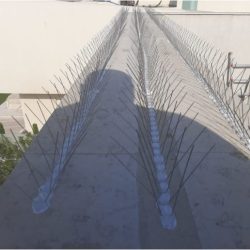 דוקרנים ליונים