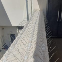 דוקרנים לסילוק יונים